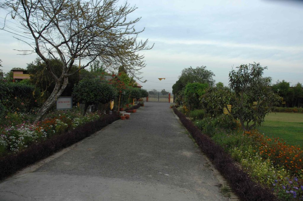 Ashram (7)-compressed
